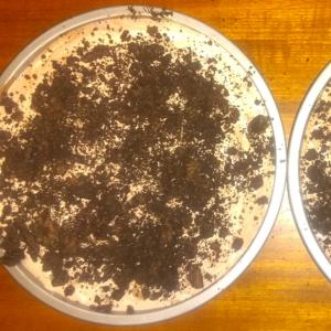 OREO Triple-Layer Chocolate Pie image