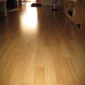 Laminate Floor Cleaner_image