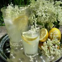 Prelude to Summer - Old Fashioned English Elderflower Cordial image