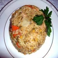 Stove Top Tuna Noodle With Orzo (Reduced Fat)_image