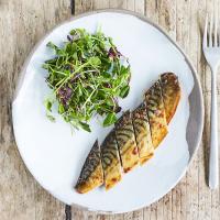 Grilled mackerel fillets_image