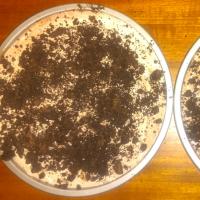 OREO Triple-Layer Chocolate Pie_image