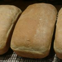Fresh Yeast Bread image