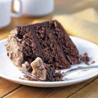 Bourbon-Chocolate Cake With Praline Frosting Recipe - (3.5/5) image