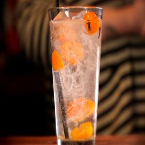 Kumquat and Clove Gin and Tonic image
