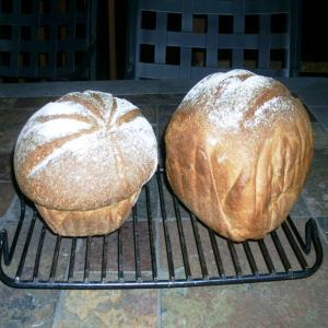 Non-Dense Delicious Whole Wheat Bread_image