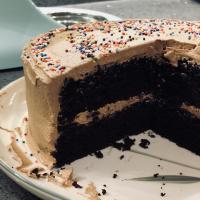 Grandpop's Special Chocolate Cake_image