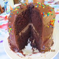Favorite Fudge Birthday Cake_image