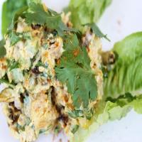 Low Carb Curried Chicken Salad Recipe - (4.4/5)_image