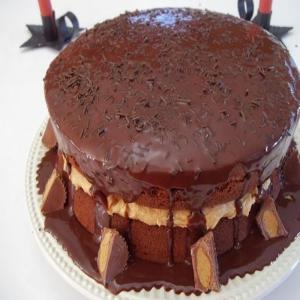 Chocolate Peanut Butter Blitz Cake - Cassies_image