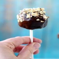 Peanut Butter Cake Pops Recipe - (4.3/5)_image