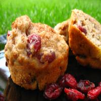 Apple-Cranberry Wheat Muffins image