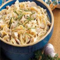 Homemade Chicken and Noodles_image