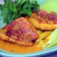 Pan-fried Red Snapper Fillet with Corn Cream Creole Sauce_image