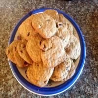 Crazy Crasin Oatmeal Cookies_image