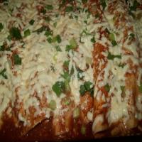 No Tortilla Chicken Enchiladas_image