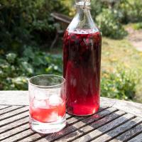 Blackcurrant gin image