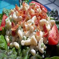 BLT Pasta Salad_image