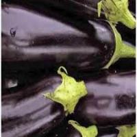 Eggplant Dip 