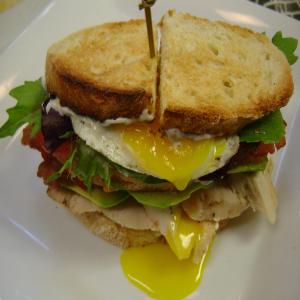 Grilled Chicken Club With Avocado and Fried Egg_image