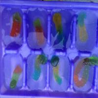 Halloween Gummy Worm Ice Cubes image