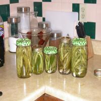 Jalapeno Pickled Beans image