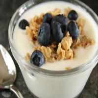 Homemade Yogurt image