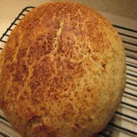 No Knead Sourdough Flax Seed Bread image