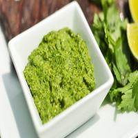 Cilantro Pesto Recipe | Sauced_image