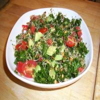 Kale and Avocado Salad image