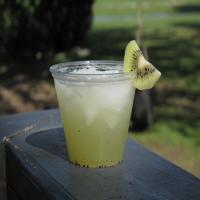 Kiwi Lemonade Spritzer image