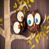 Owl Cupcakes image