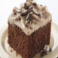 Chocolate Malt Cake image