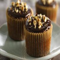 Chocolate-Hazelnut Cupcakes image