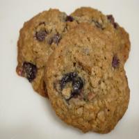 Country Cookies (Oatmeal-Blueberry)_image