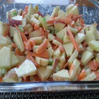 Weight Watchers Apple and Carrot Salad image