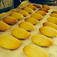 Classic French Madeleines_image