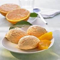 Orange Vanilla Frozen Custard image