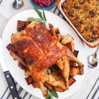 Roast duck and vegetables_image