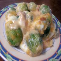 Brussels Sprouts Casserole image