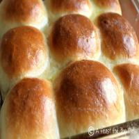 60-Minute Dinner Rolls (Yes,fresh baked rolls in one hour!) Recipe - (4.3/5) image