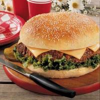 Texas Cheeseburger image