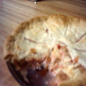 Sour Cream Rhubarb Pie_image