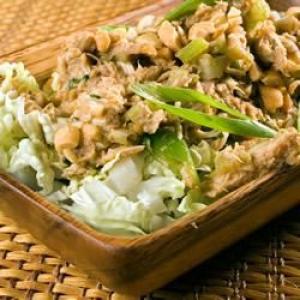 Hoisin Chicken Salad with Green Onions_image