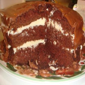 Fudgy Pudgy Cake image