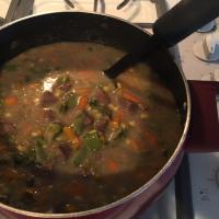 Yummy Beef or Venison Stew_image