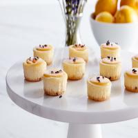 Honey and Lavender Cheesecake Bites_image