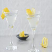 The Classic Gin Martini_image