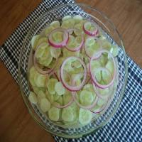 Cucumbers and Red Onions_image