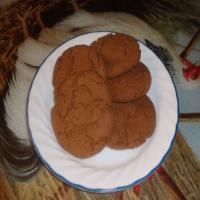 The Perfect Ginger Snap_image